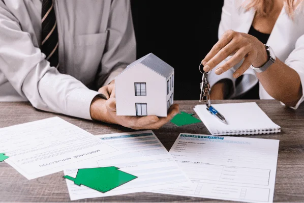 Property Tax Advisor